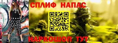 твердый Будённовск